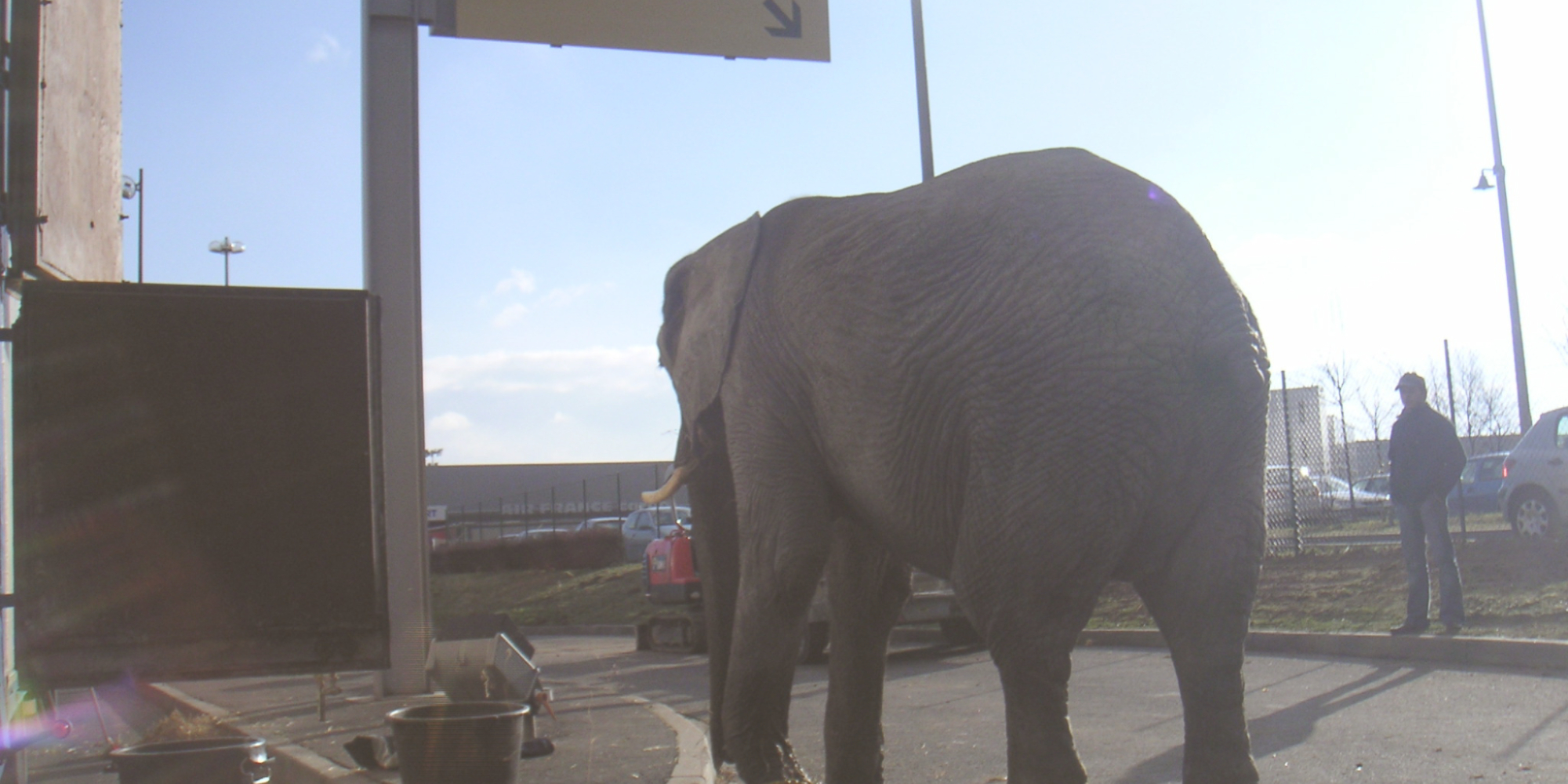 Specialist in the transport of live animals