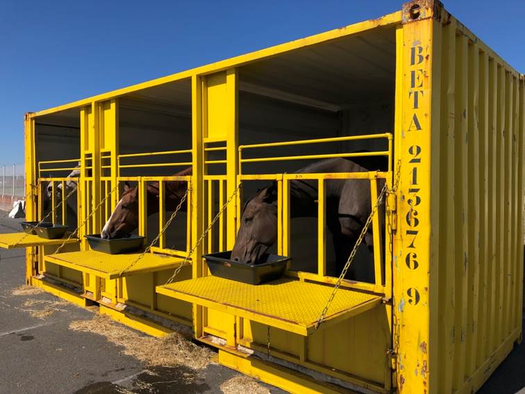 Transport of live animals Cominter transports